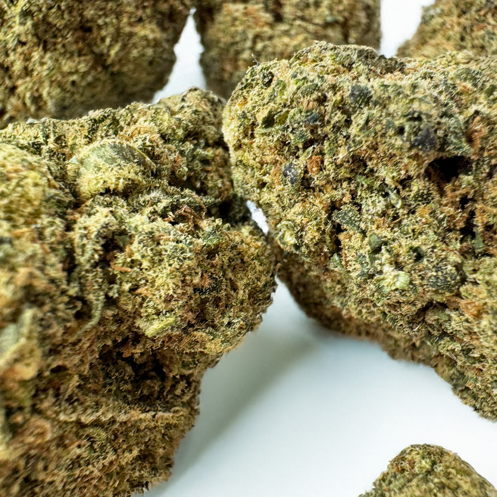 Ice Cream Cake CBD - Hydroponique Cali