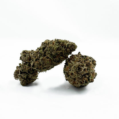 Jelly Cream – Indoor Elite USA — Foto 1