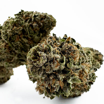 Jelly Cream – Indoor Elite USA — Foto 2