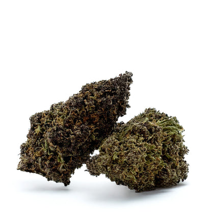 Legendary Platinium - USA Hybrid