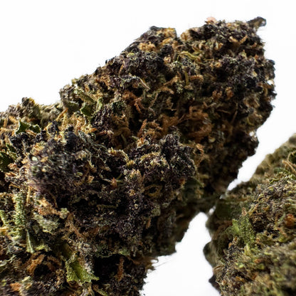 Legendary Platinium - USA Hybrid