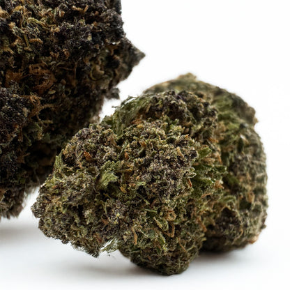 Legendary Platinium - USA Hybrid