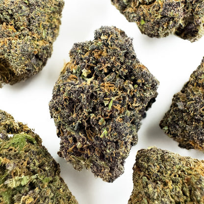 Legendary Platinium - USA Hybrid