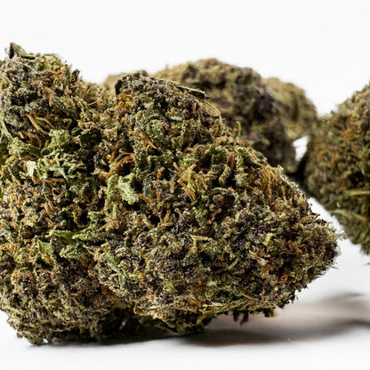 Legendary Platinium - USA Hybrid