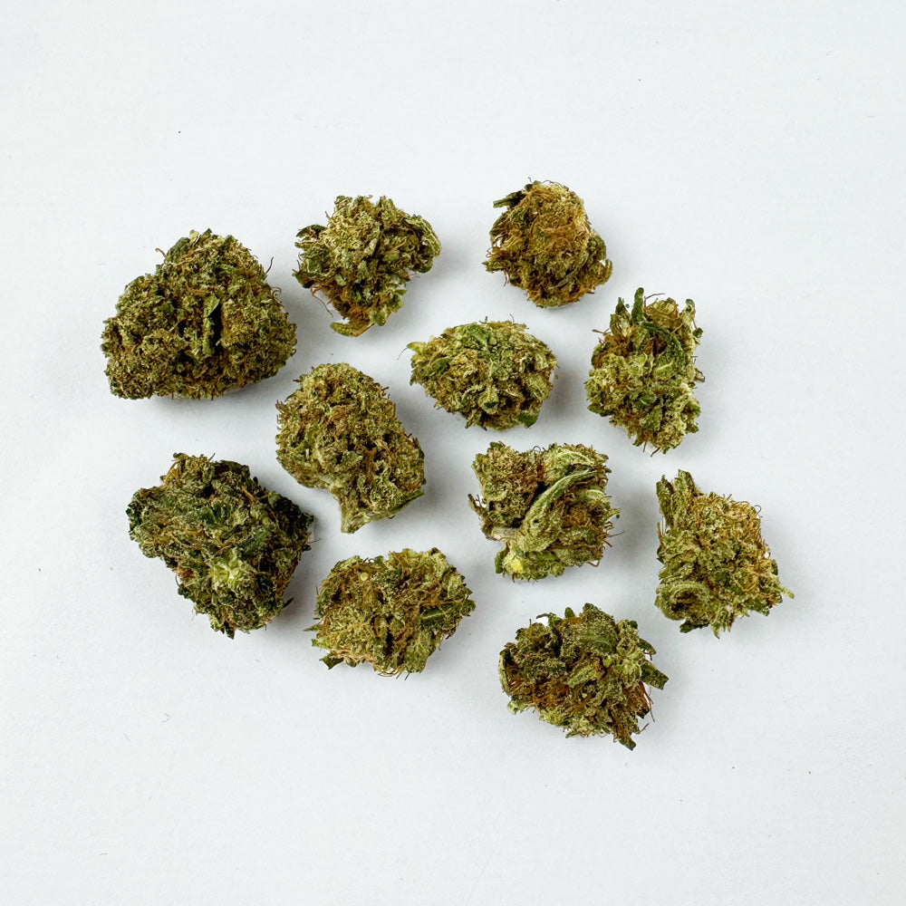 Small Buds Lemon Fritter - Hybride