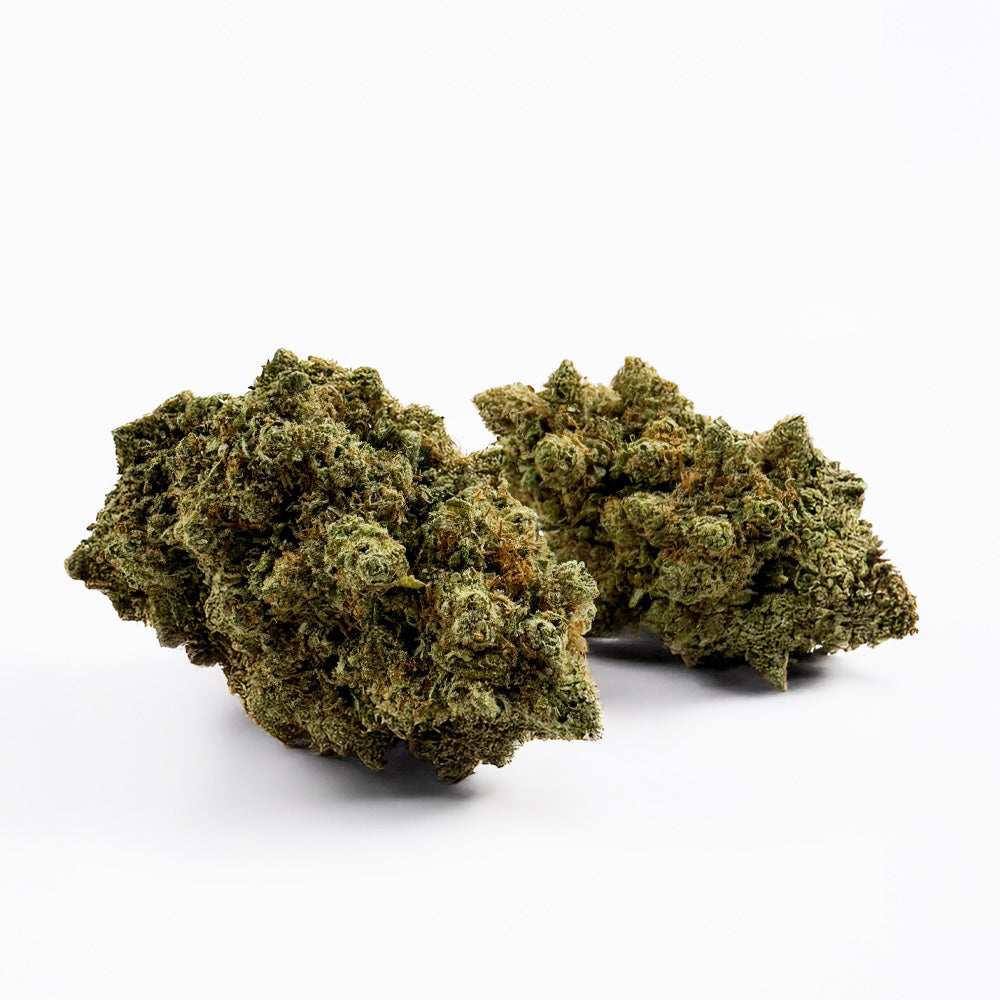 Lemon Haze HT CBD - Indoor