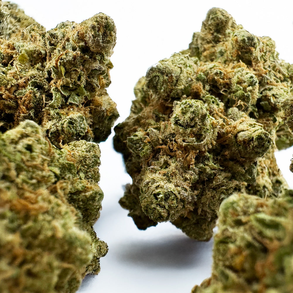 Lemon Haze HT CBD - Indoor