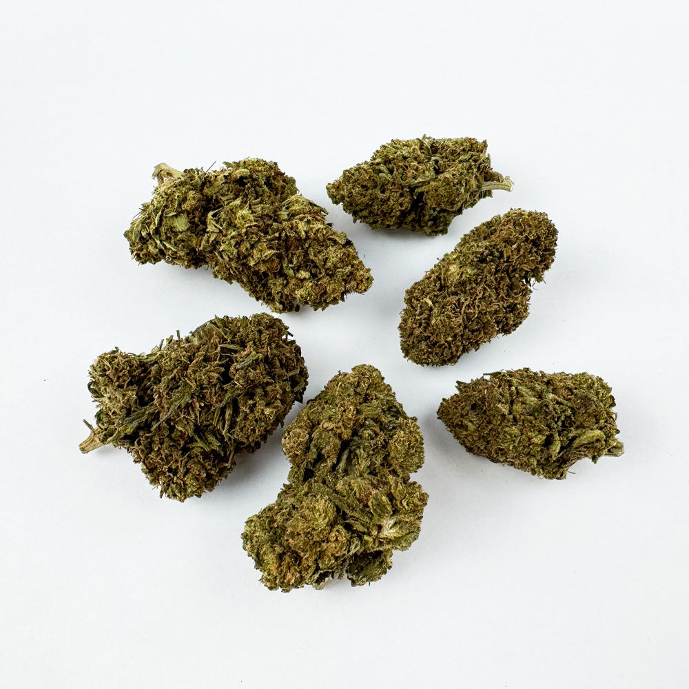 Lemon OG - Hybride USA
