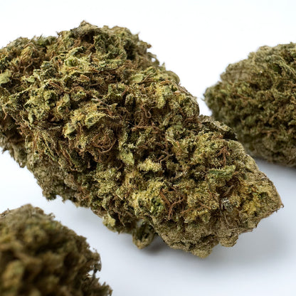 Lemon OG - Hybride USA