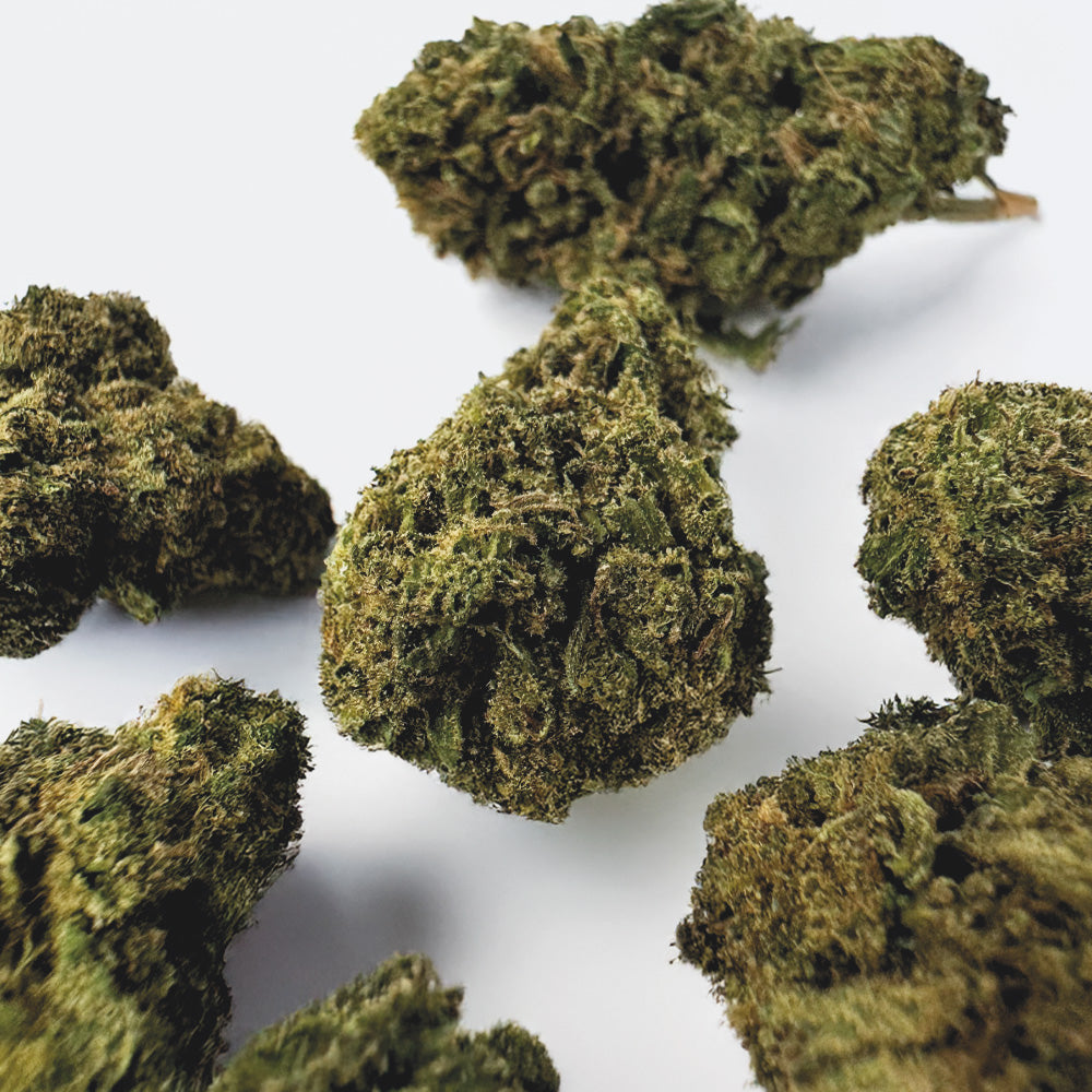 Medium Buds Lemon OG - Hybride USA