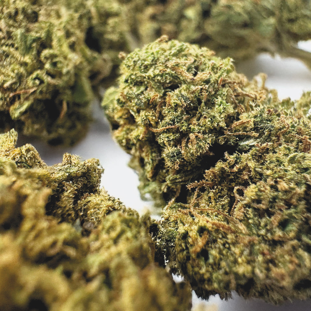 Medium Buds Lemon OG - Hybride USA