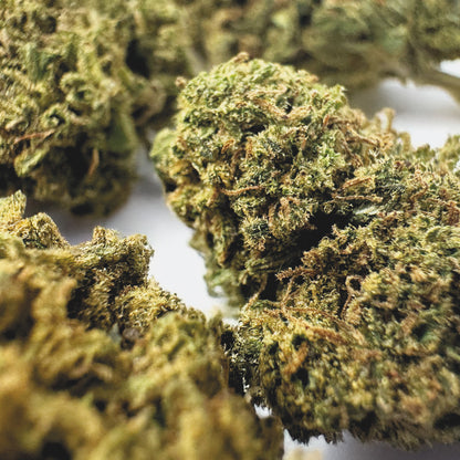 Medium Buds Lemon OG - Hybride USA