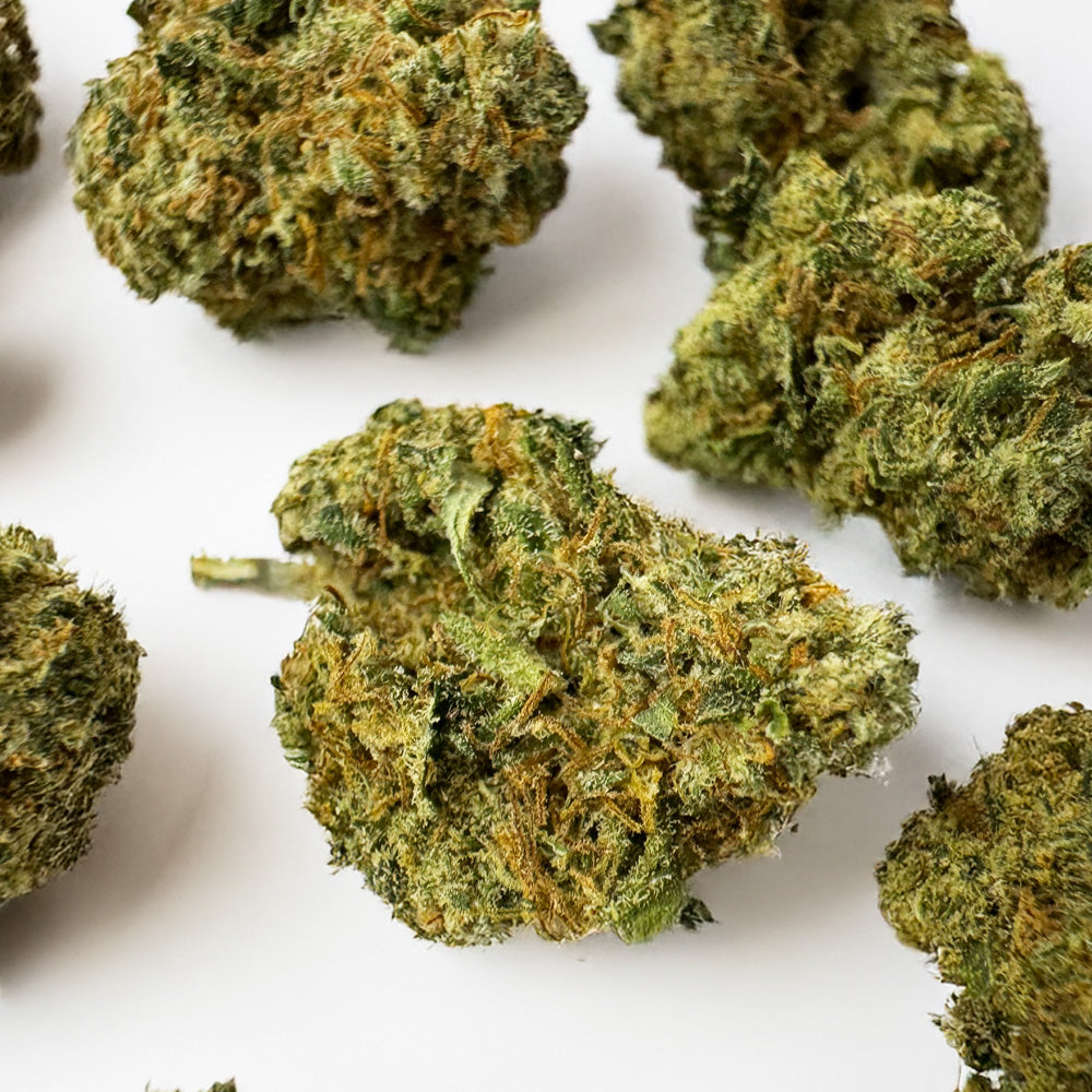 Small buds Lemon Skunk - Indoor