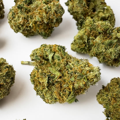 Small buds Lemon Skunk - Indoor