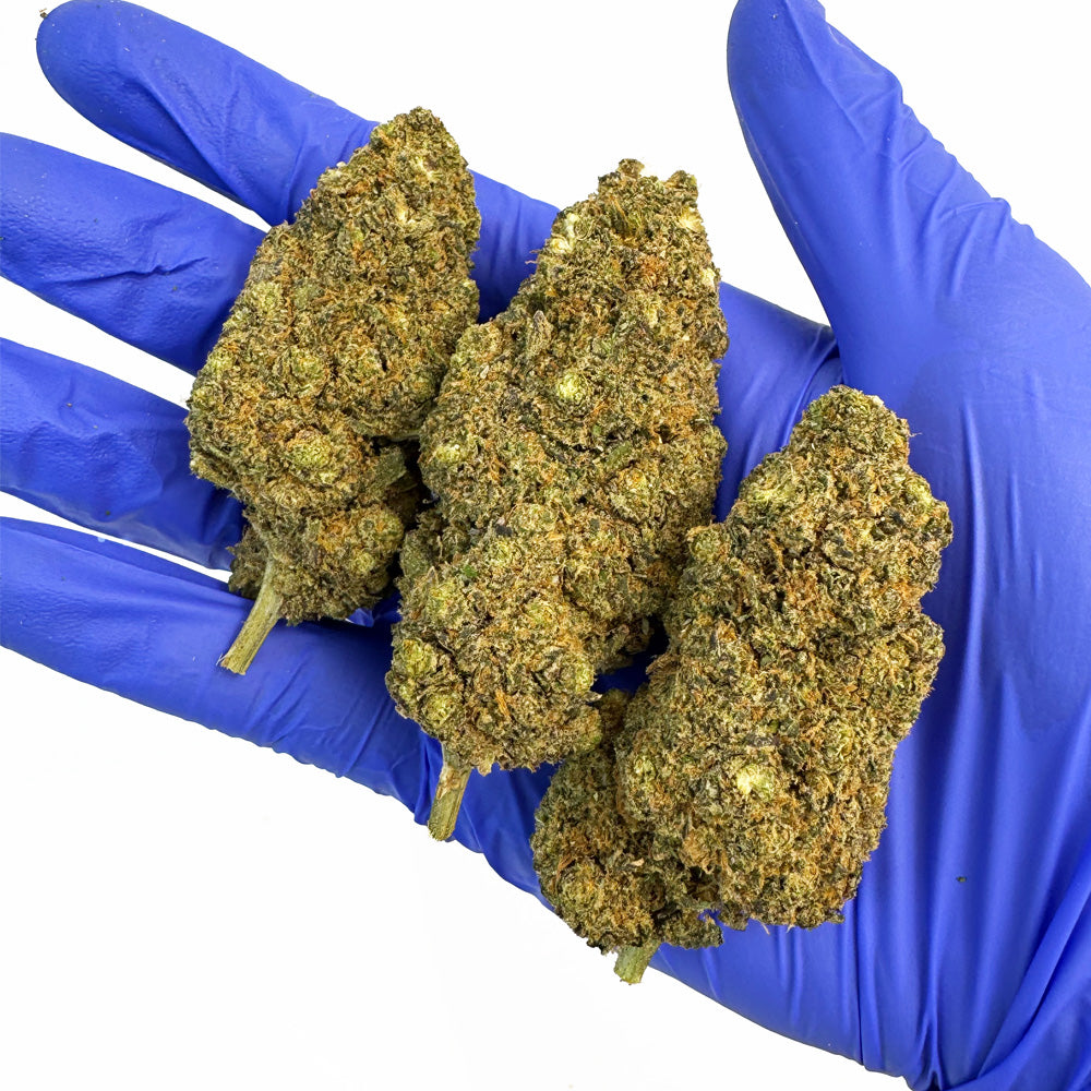 Lemon Garlic — květ CBD Macro 5