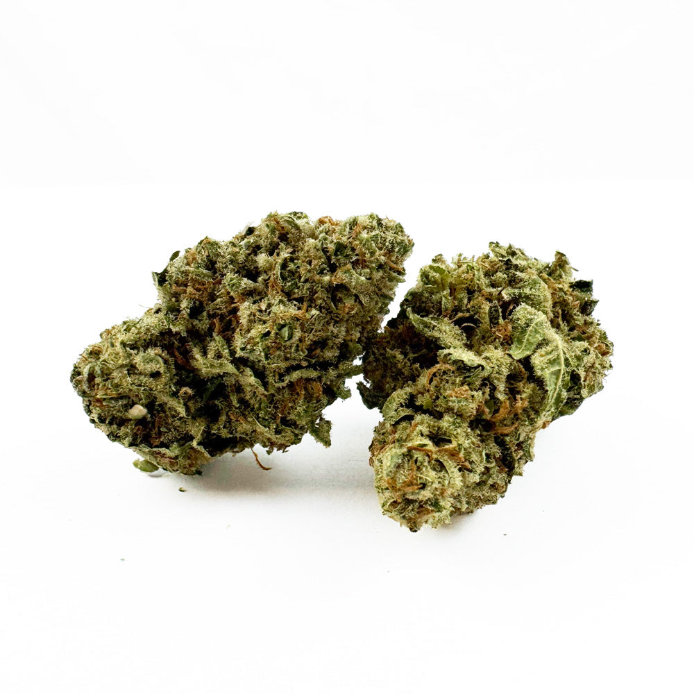 Lemon Meringue — velkoobchod s květy CBD, přehled