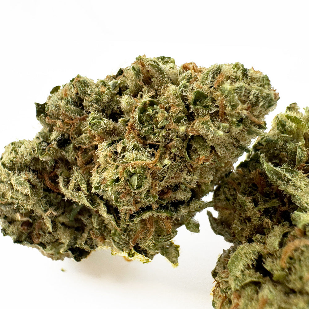 Lemon Meringue — CBD květy, makro 2