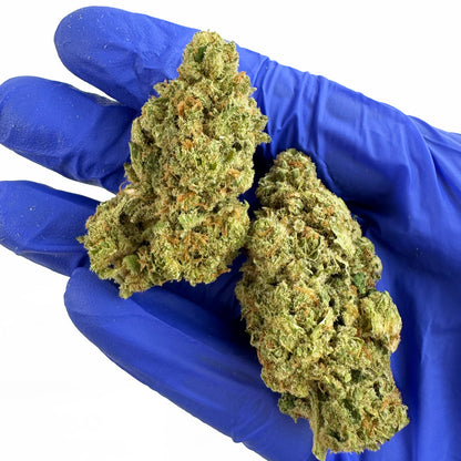 Lemon Meringue — CBD květina, makro 5