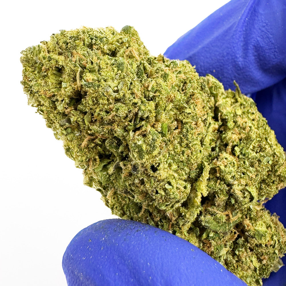 MR3 – Indoor — foto 6