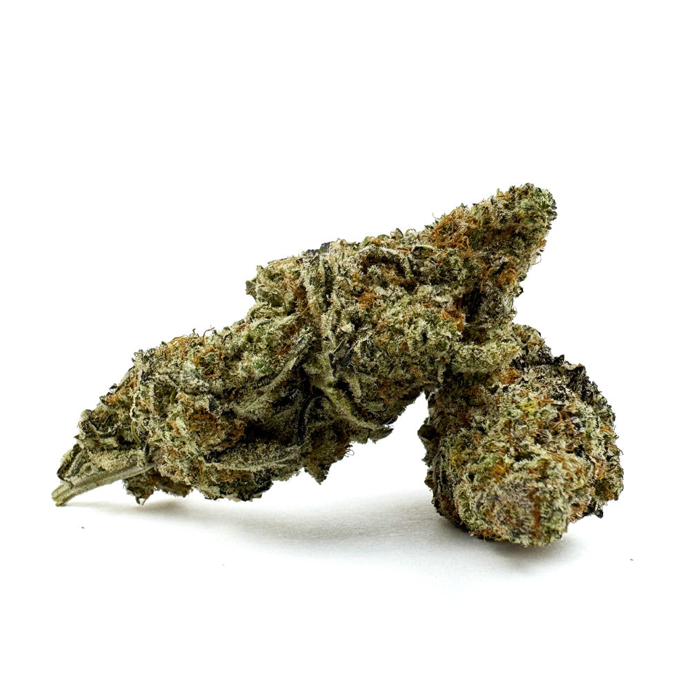 Malabar X Zoap CBD – Indoor