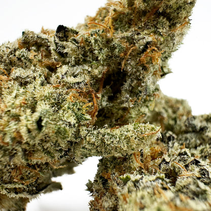 Malabar X Zoap CBD – Indoor