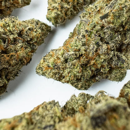 Malabar X Zoap CBD – Indoor