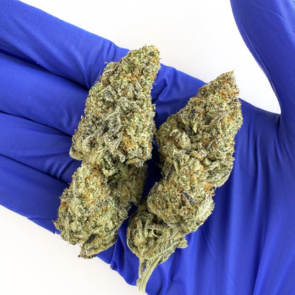 Malabar X Zoap CBD – Indoor