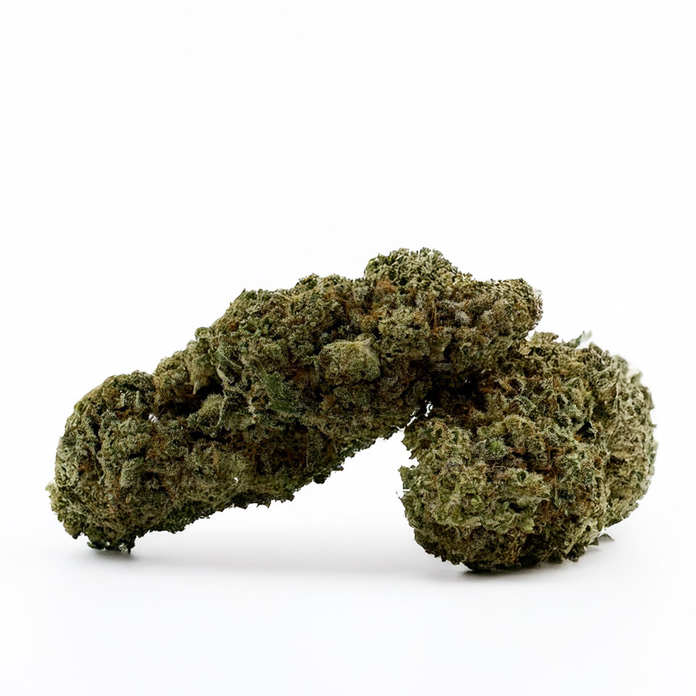 Malabar #B2 CBD - Interior