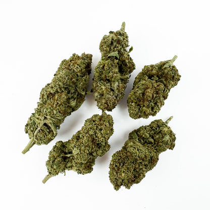 Malabar #B2 CBD - Interior