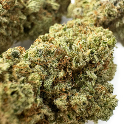 Malabar #B2 CBD - Interior