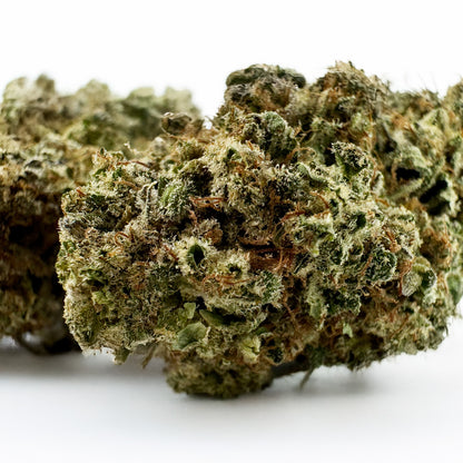 Malabar #B2 CBD - Interior