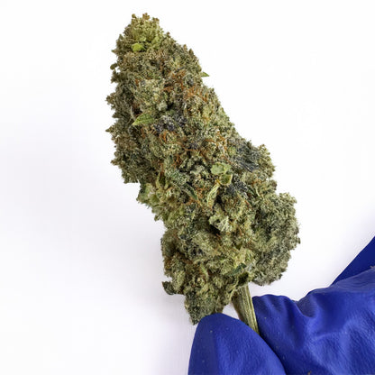 Malabar #B2 CBD - Interior