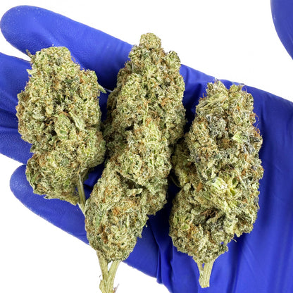 Malabar #B2 CBD - Interior