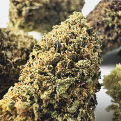 Mango Haze - Hybride USA