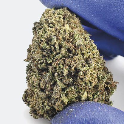 Mango Haze - Hybride USA