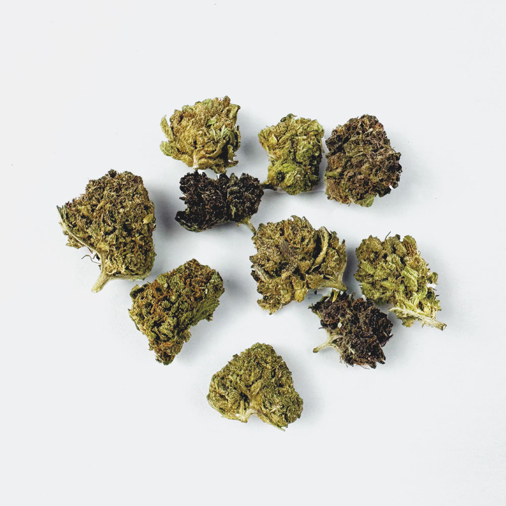 Small Buds Mango Haze - Hybride