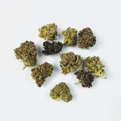 Small Buds Mango Haze - Hybride