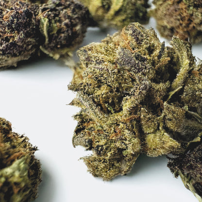 Small Buds Mango Haze - Hybride