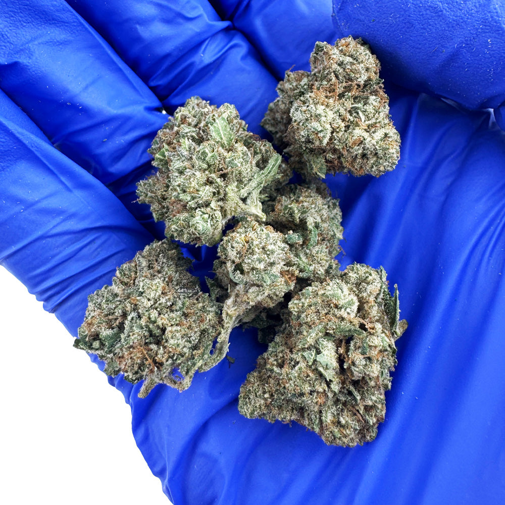 Středně velké palice Guava Kush – pěstování v interiéru — foto 4