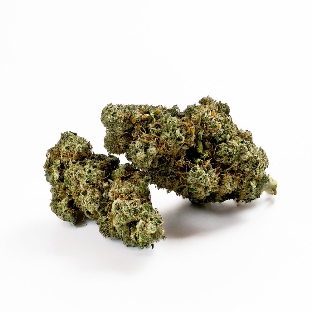 NLX – Indoor