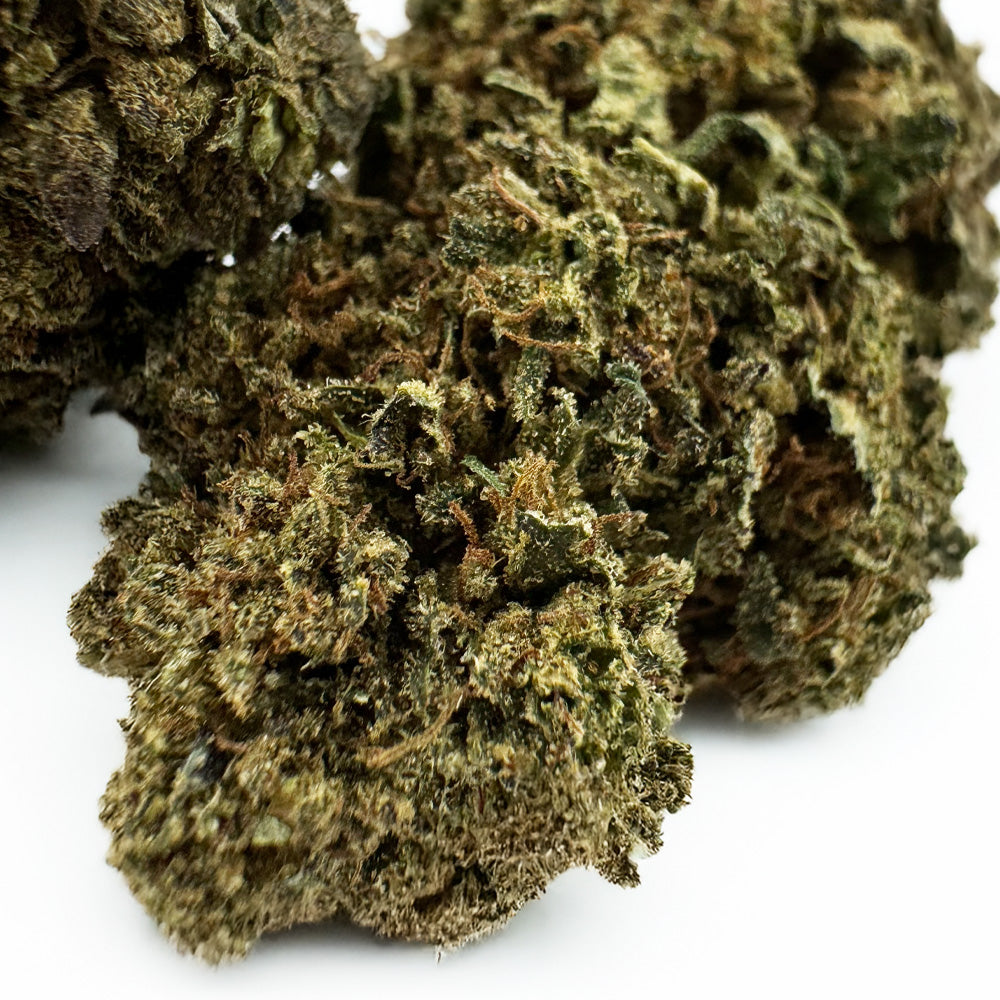 OG Kush - Hybride USA