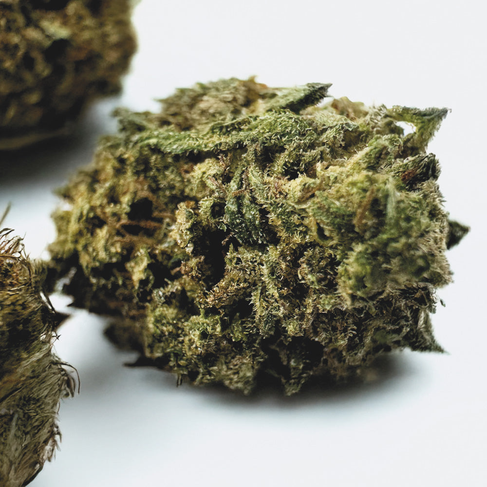 Medium Buds OG Kush - Hybride