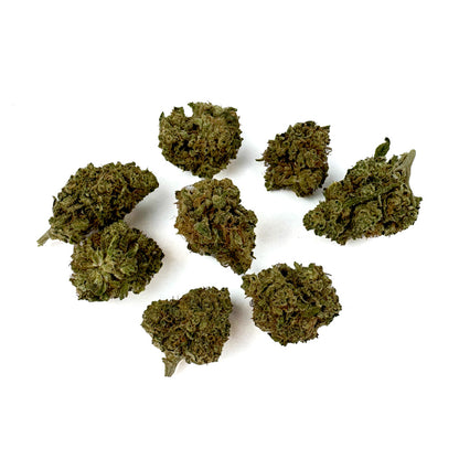 Small Buds Orange Fritter - Hybride