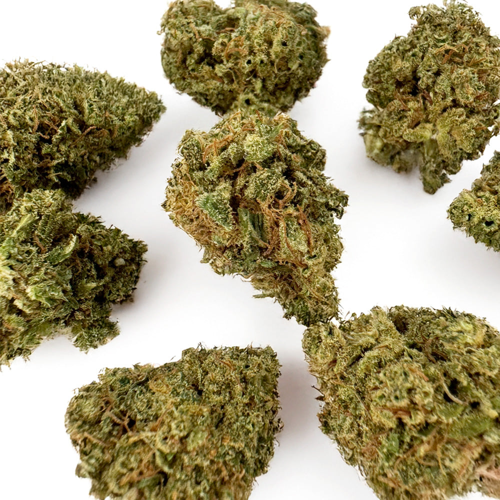 Small Buds Orange Fritter - Hybride