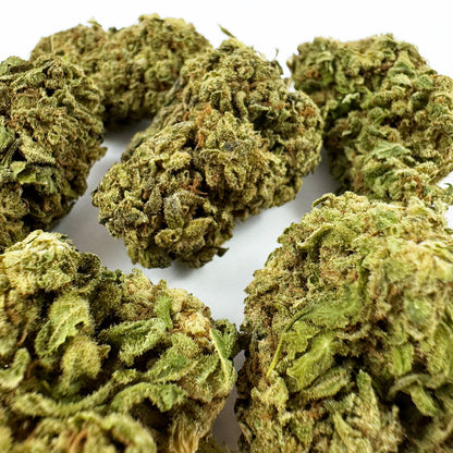 Orangello - Greenhouse