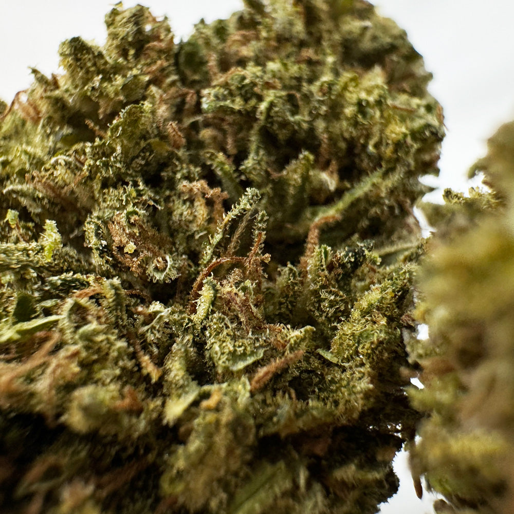 Passion Kush - Híbrido de EE. UU.