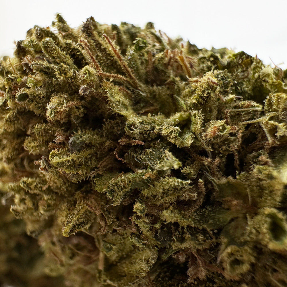 Passion Kush - Híbrido de EE. UU.