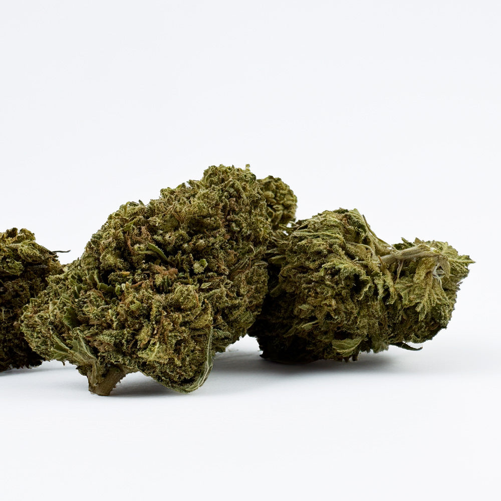 Passion Kush - Híbrido de EE. UU.