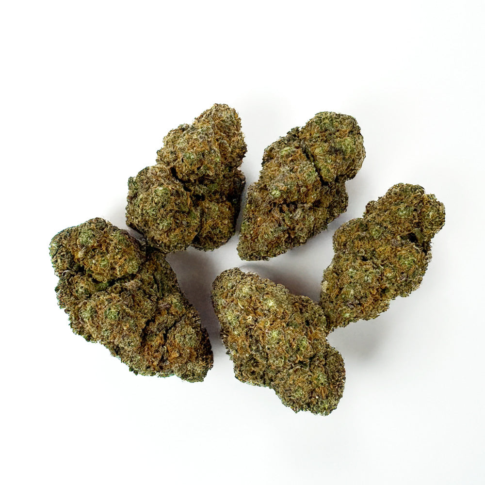 Purple Gaz CBD - Interior