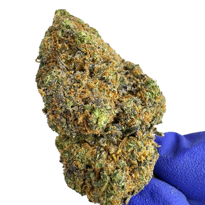 Purple Gaz CBD - Indoor